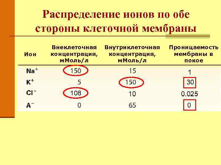 Распределение ионов по обе стороны клеточной мембраны Ион Внеклеточная концентрация, м. Моль/л Внутриклеточная концентрация,