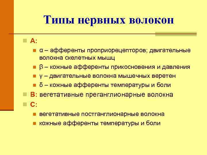 Типы нервных волокон n А: n n α – афференты проприорецепторов; двигательные волокна скелетных