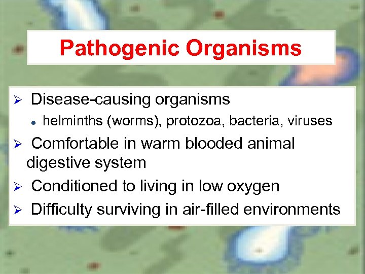 Pathogenic Organisms Ø Disease-causing organisms l helminths (worms), protozoa, bacteria, viruses Comfortable in warm