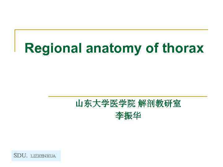 Regional anatomy of thorax 山东大学医学院 解剖教研室 李振华 SDU. LIZHENHUA 