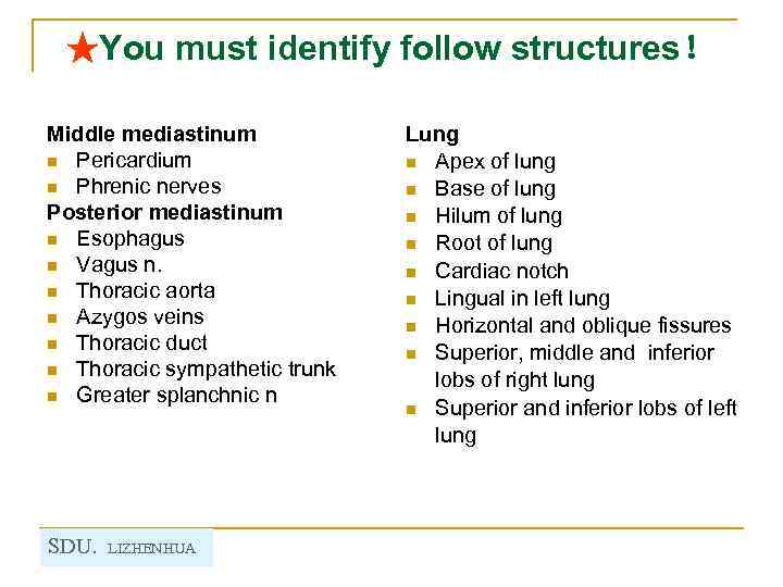 ★You must identify follow structures！ Middle mediastinum n Pericardium n Phrenic nerves Posterior mediastinum