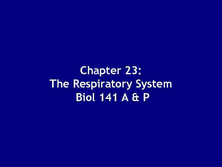 Chapter 23: The Respiratory System Biol 141 A & P 