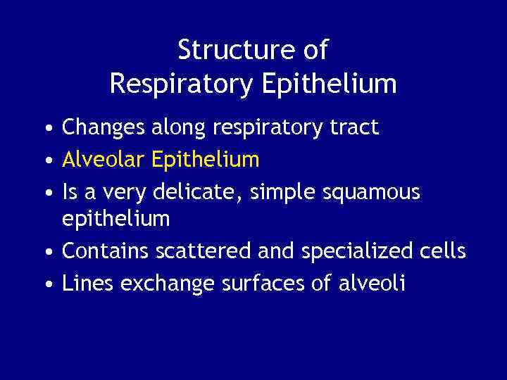 Structure of Respiratory Epithelium • Changes along respiratory tract • Alveolar Epithelium • Is