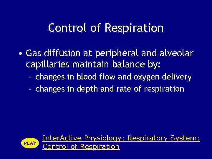 Control of Respiration • Gas diffusion at peripheral and alveolar capillaries maintain balance by: