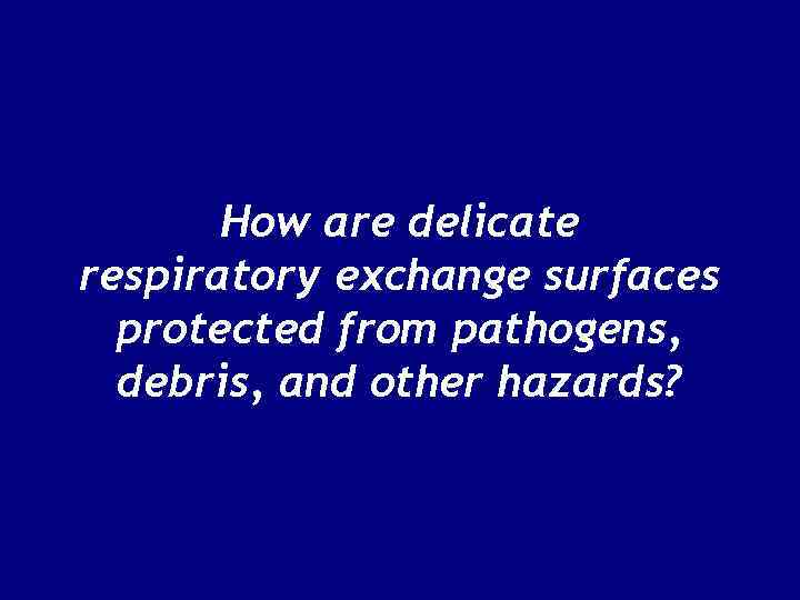 How are delicate respiratory exchange surfaces protected from pathogens, debris, and other hazards? 