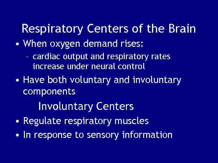 Respiratory Centers of the Brain • When oxygen demand rises: – cardiac output and