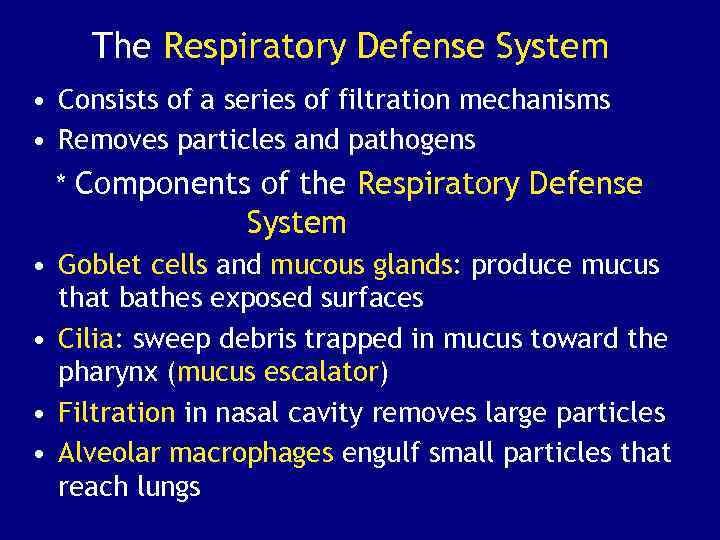 The Respiratory Defense System • Consists of a series of filtration mechanisms • Removes