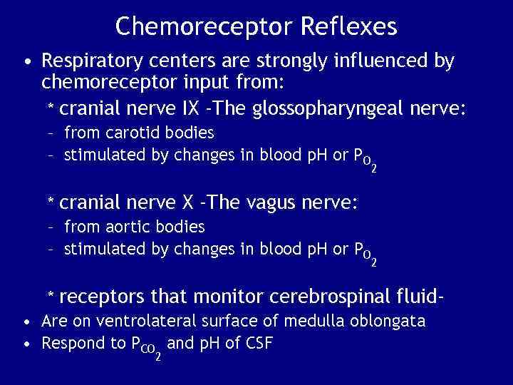 Chemoreceptor Reflexes • Respiratory centers are strongly influenced by chemoreceptor input from: * cranial