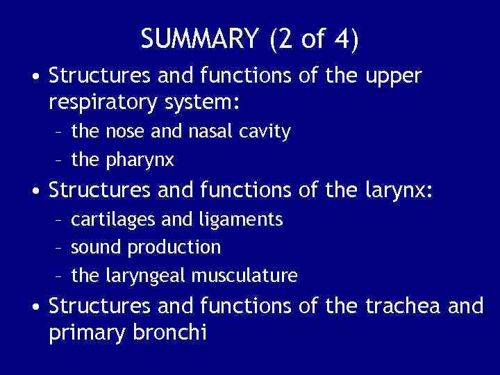SUMMARY (2 of 4) • Structures and functions of the upper respiratory system: –