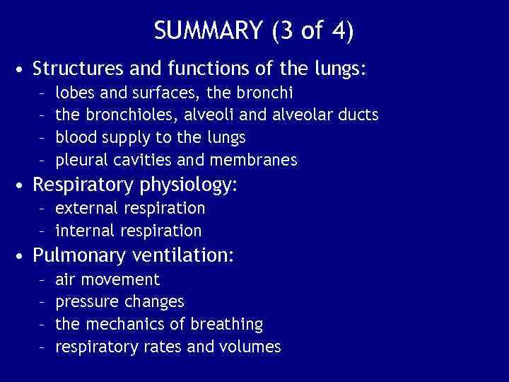 SUMMARY (3 of 4) • Structures and functions of the lungs: – – lobes