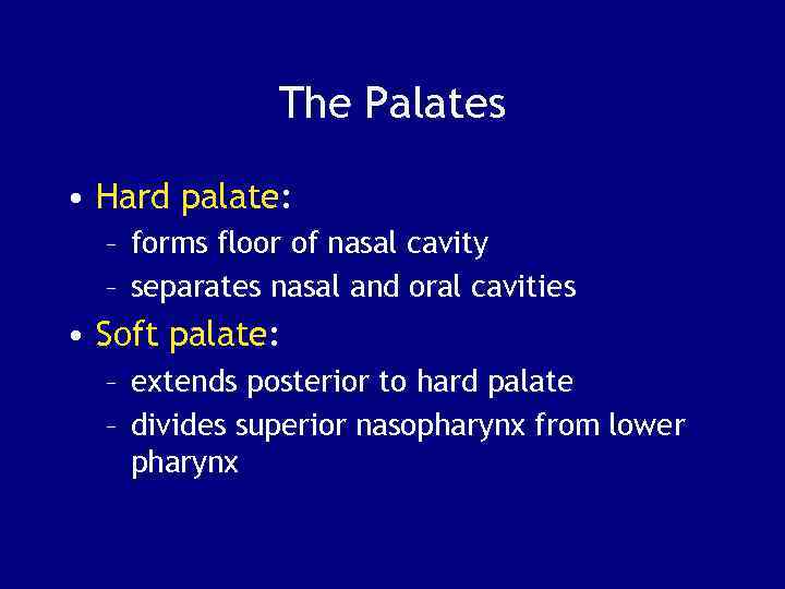 The Palates • Hard palate: – forms floor of nasal cavity – separates nasal