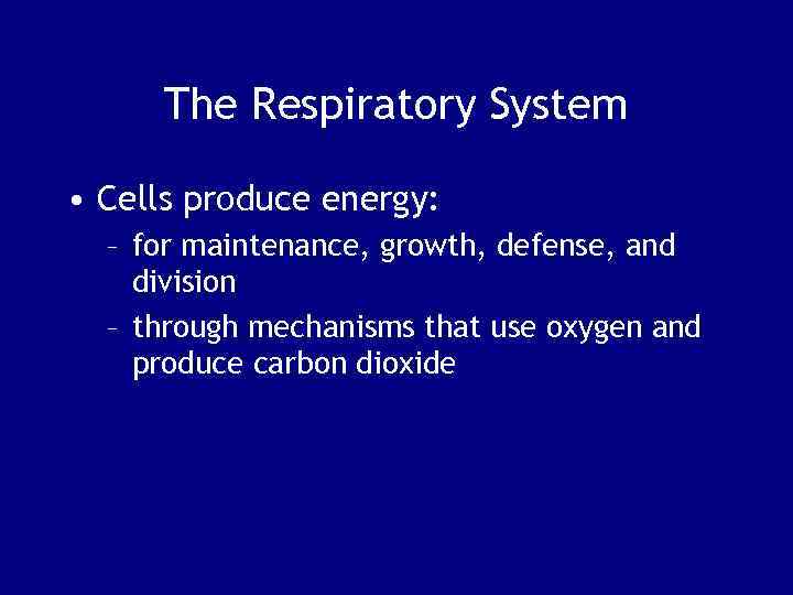 The Respiratory System • Cells produce energy: – for maintenance, growth, defense, and division