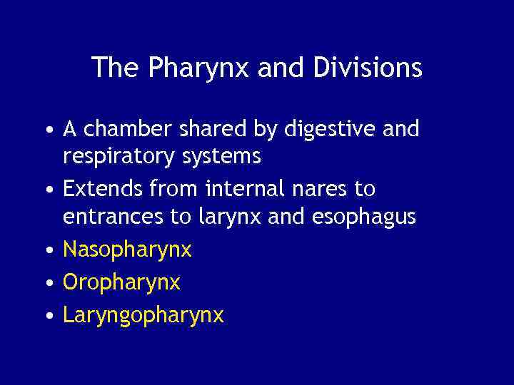 The Pharynx and Divisions • A chamber shared by digestive and respiratory systems •