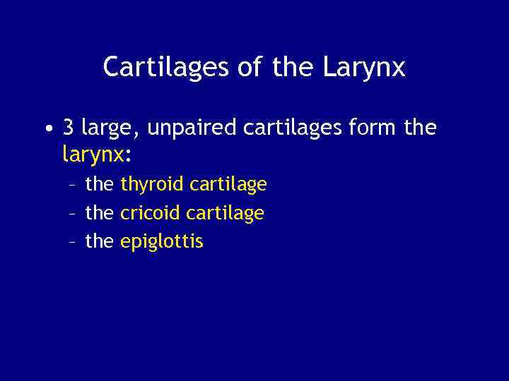 Cartilages of the Larynx • 3 large, unpaired cartilages form the larynx: – the