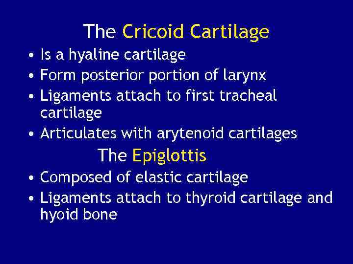 The Cricoid Cartilage • Is a hyaline cartilage • Form posterior portion of larynx