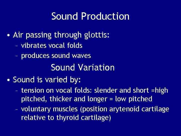 Sound Production • Air passing through glottis: – vibrates vocal folds – produces sound