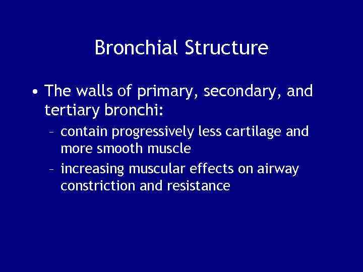 Bronchial Structure • The walls of primary, secondary, and tertiary bronchi: – contain progressively