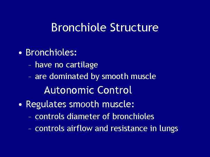 Bronchiole Structure • Bronchioles: – have no cartilage – are dominated by smooth muscle