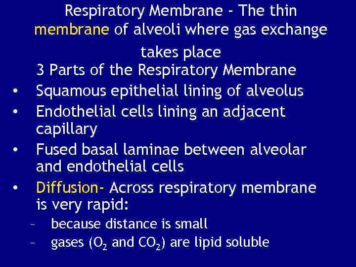  • • Respiratory Membrane - The thin membrane of alveoli where gas exchange