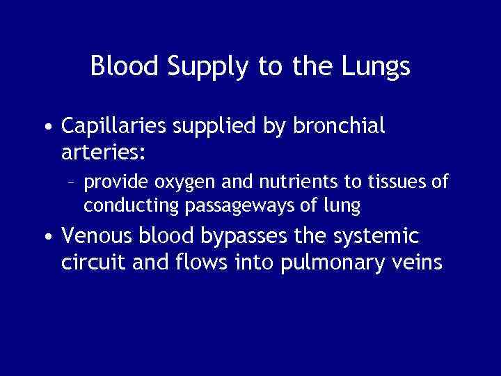 Blood Supply to the Lungs • Capillaries supplied by bronchial arteries: – provide oxygen