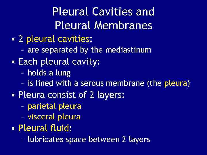 Pleural Cavities and Pleural Membranes • 2 pleural cavities: – are separated by the