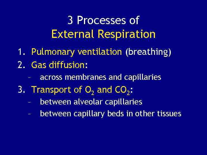 3 Processes of External Respiration 1. Pulmonary ventilation (breathing) 2. Gas diffusion: – across
