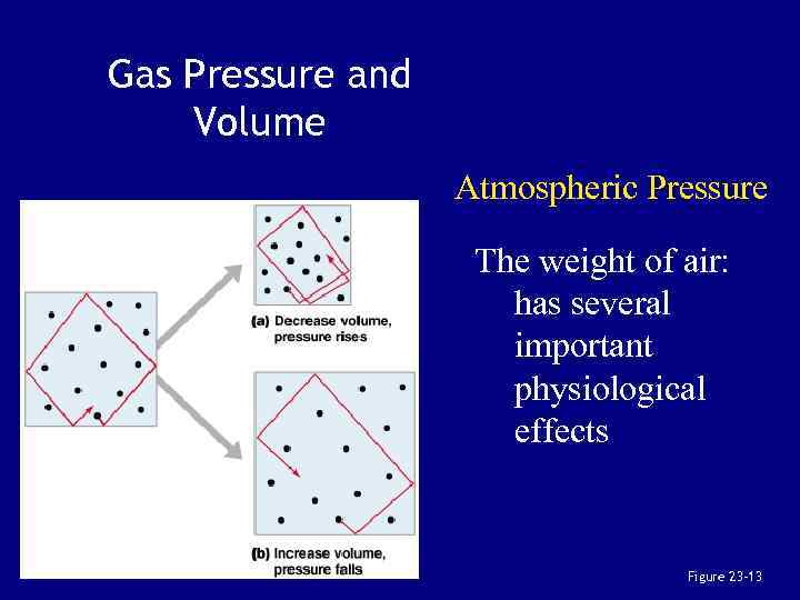 Gas Pressure and Volume Atmospheric Pressure The weight of air: has several important physiological