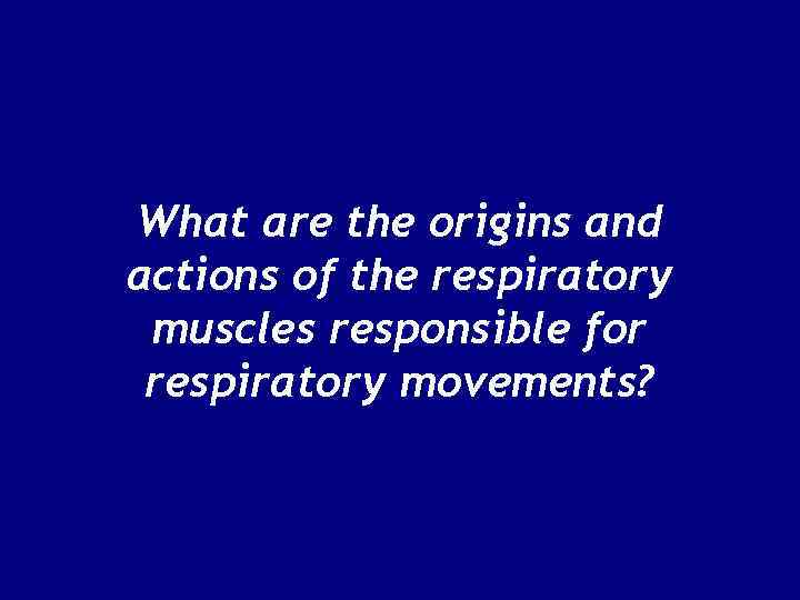 What are the origins and actions of the respiratory muscles responsible for respiratory movements?