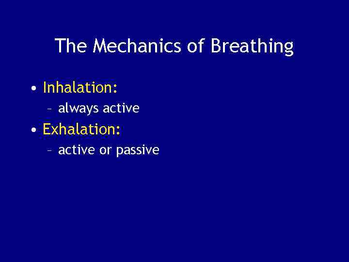 The Mechanics of Breathing • Inhalation: – always active • Exhalation: – active or