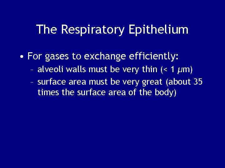 The Respiratory Epithelium • For gases to exchange efficiently: – alveoli walls must be