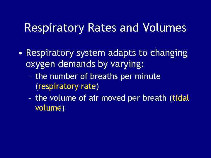 Respiratory Rates and Volumes • Respiratory system adapts to changing oxygen demands by varying: