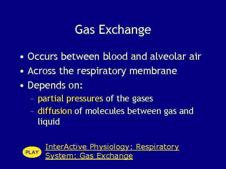 Gas Exchange • Occurs between blood and alveolar air • Across the respiratory membrane