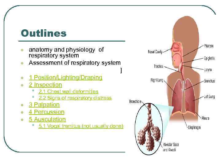 Outlines l l l l anatomy and physiology of respiratory system Assessment of respiratory