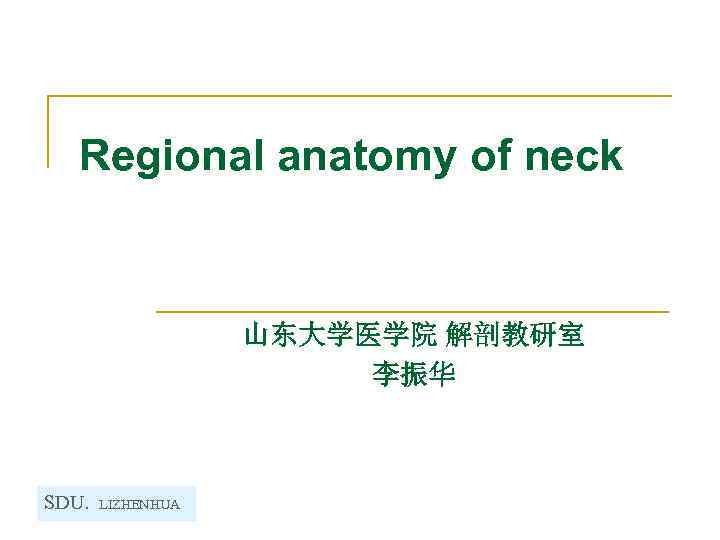 Regional anatomy of neck 山东大学医学院 解剖教研室 李振华 SDU. LIZHENHUA 