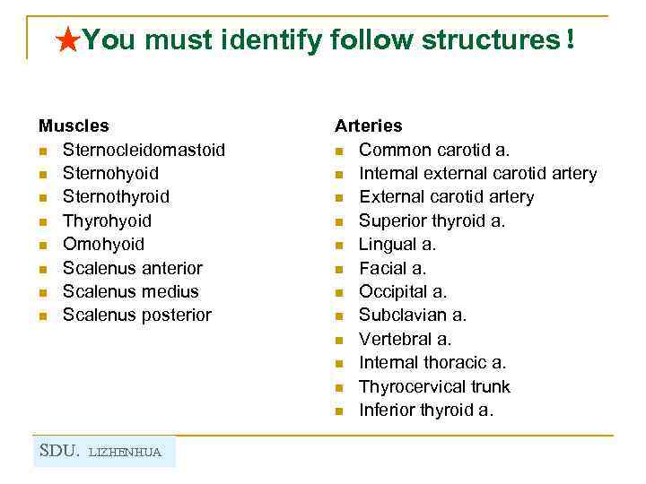 ★You must identify follow structures！ Muscles n Sternocleidomastoid n Sternohyoid n Sternothyroid n Thyrohyoid
