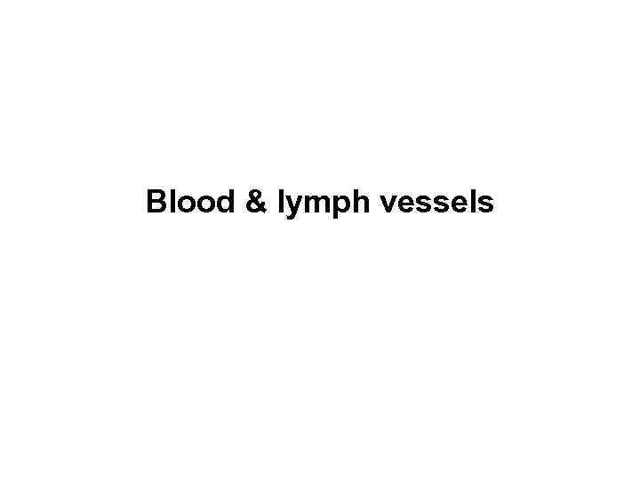 Blood & lymph vessels 