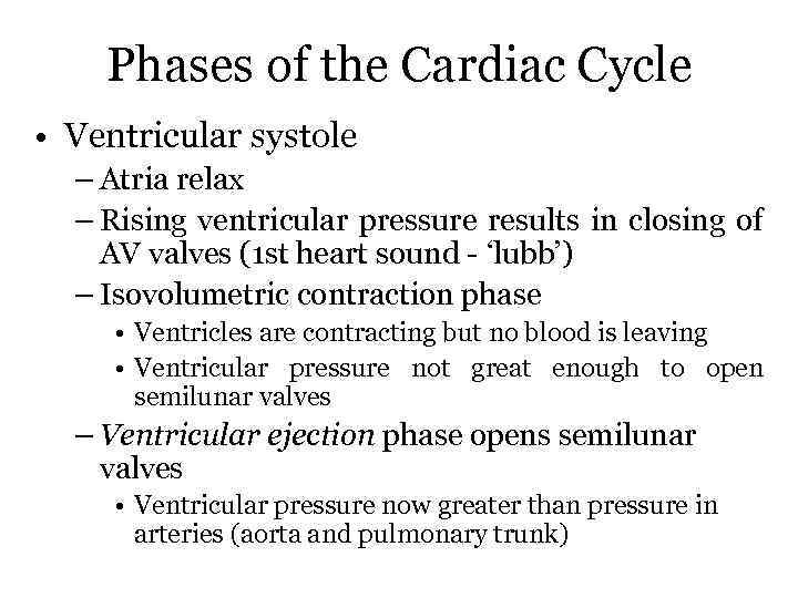 Phases of the Cardiac Cycle • Ventricular systole – Atria relax – Rising ventricular