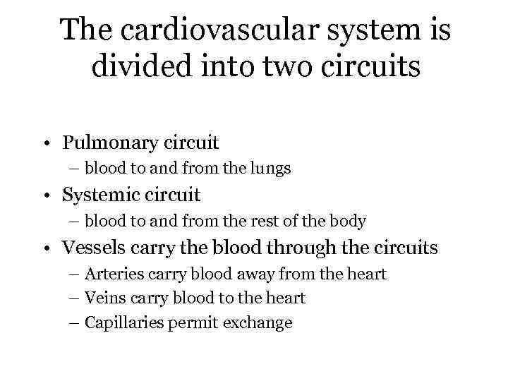 The cardiovascular system is divided into two circuits • Pulmonary circuit – blood to