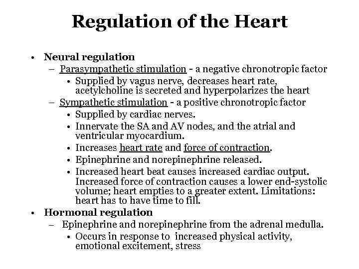 Regulation of the Heart • Neural regulation – Parasympathetic stimulation - a negative chronotropic