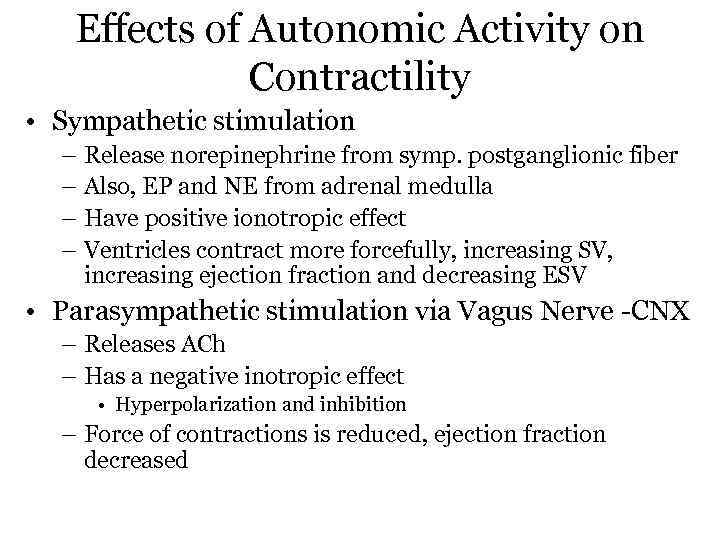 Effects of Autonomic Activity on Contractility • Sympathetic stimulation – Release norepinephrine from symp.