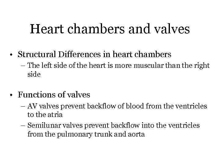 Heart chambers and valves • Structural Differences in heart chambers – The left side