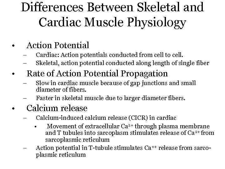 Differences Between Skeletal and Cardiac Muscle Physiology • Action Potential – – • Rate