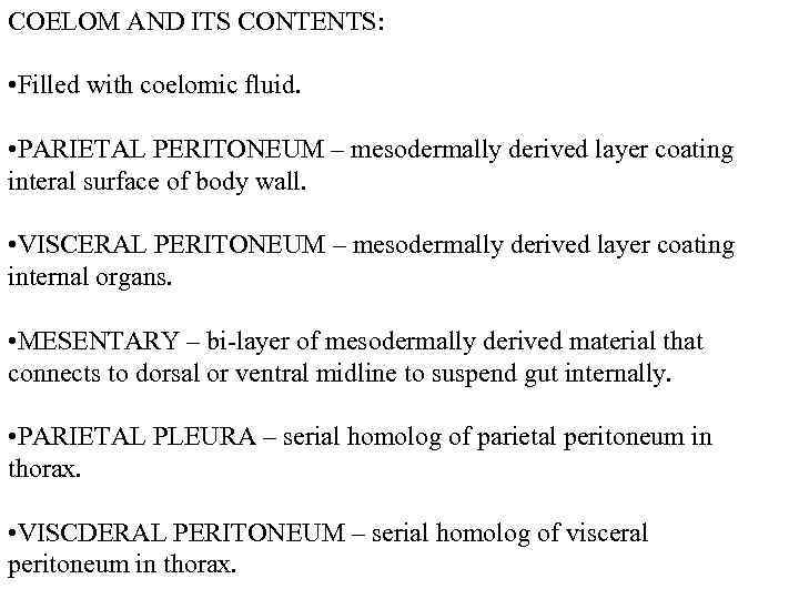 COELOM AND ITS CONTENTS: • Filled with coelomic fluid. • PARIETAL PERITONEUM – mesodermally