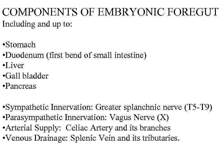 COMPONENTS OF EMBRYONIC FOREGUT Including and up to: • Stomach • Duodenum (first bend