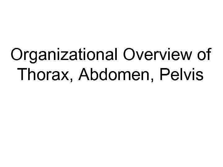 Organizational Overview of Thorax, Abdomen, Pelvis 