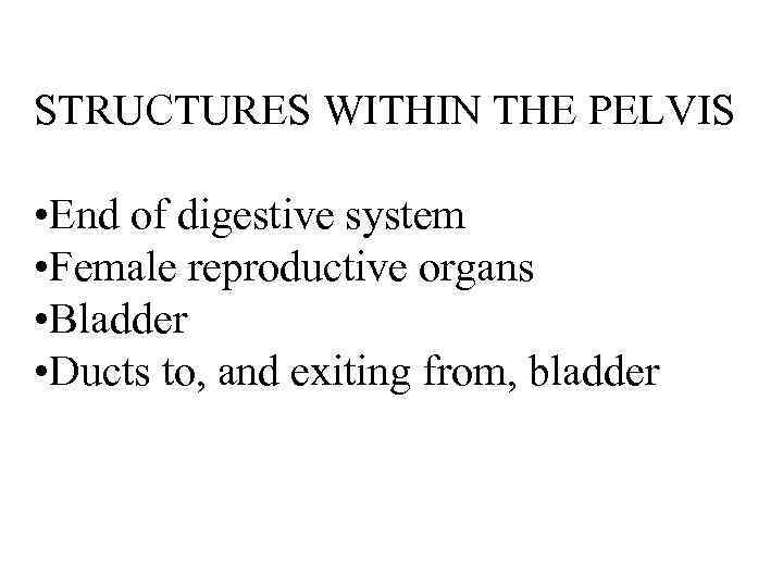 STRUCTURES WITHIN THE PELVIS • End of digestive system • Female reproductive organs •