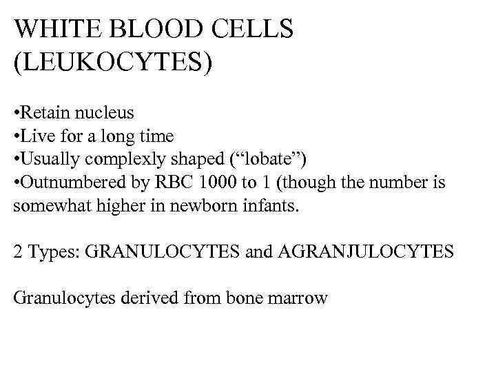 WHITE BLOOD CELLS (LEUKOCYTES) • Retain nucleus • Live for a long time •