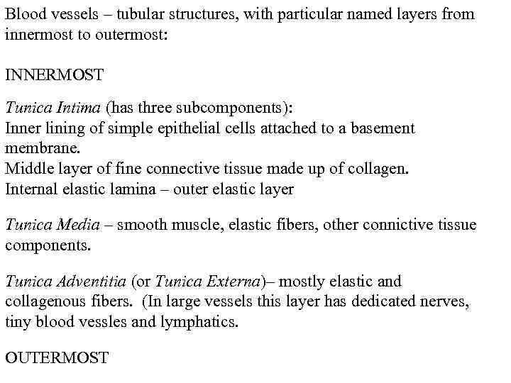 Blood vessels – tubular structures, with particular named layers from innermost to outermost: INNERMOST