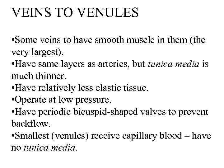 VEINS TO VENULES • Some veins to have smooth muscle in them (the very