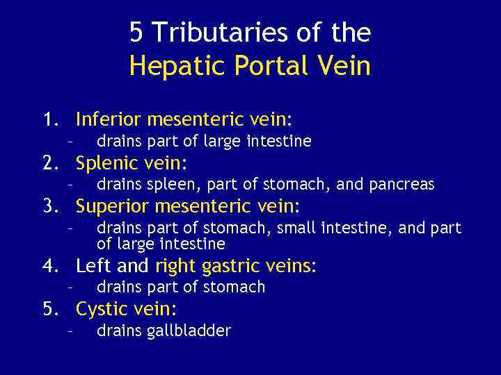 5 Tributaries of the Hepatic Portal Vein 1. Inferior mesenteric vein: – drains part